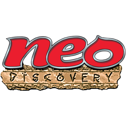 Pokémon TCG: Neo Discovery Enkeltkort