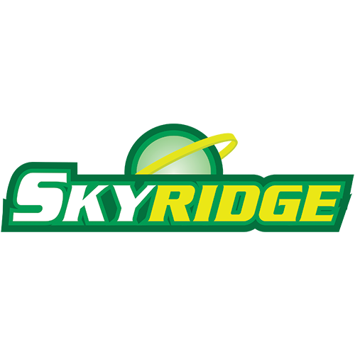 Pokémon TCG: Skyridge Enkeltkort