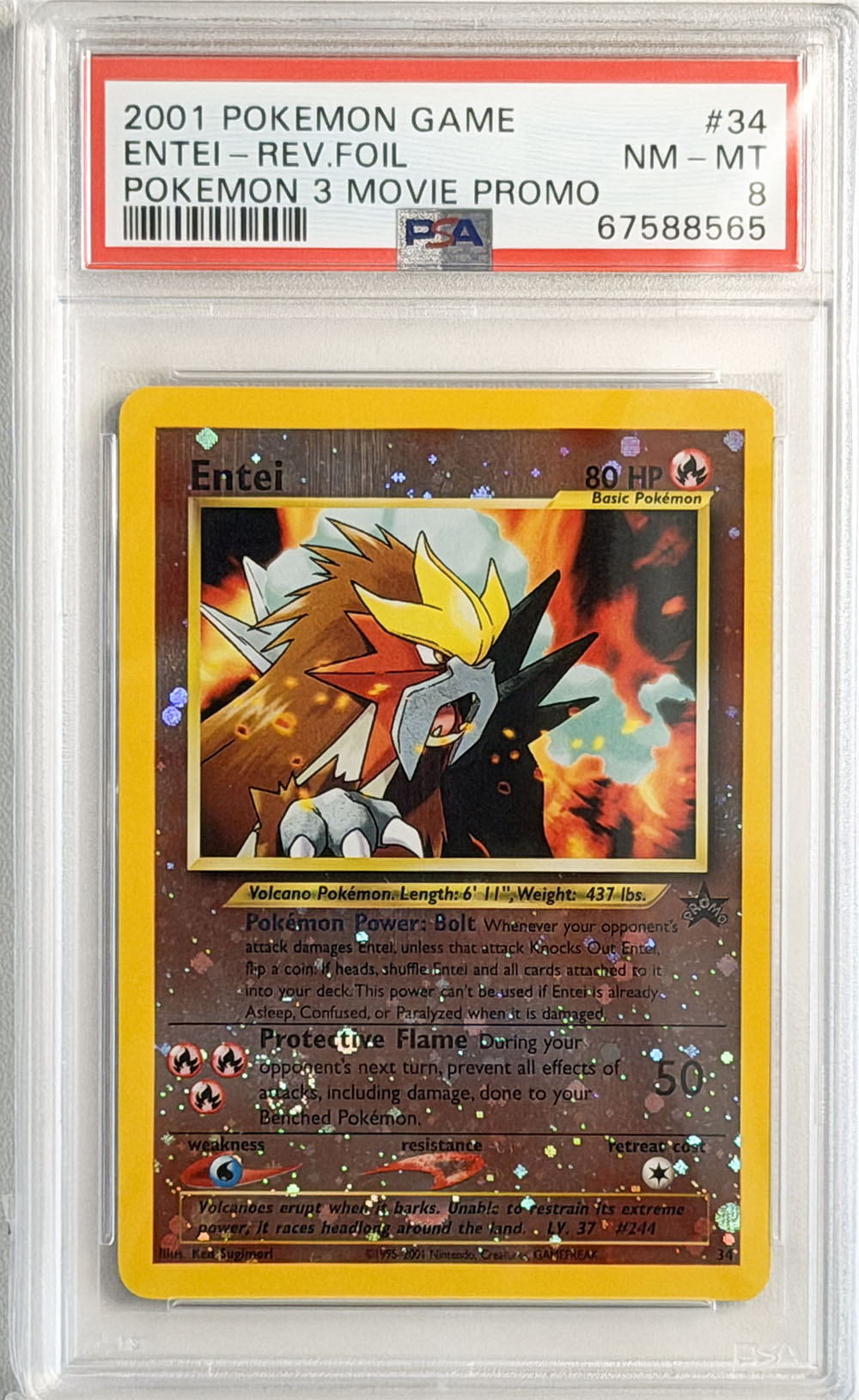 Entei #34 Pokémon 3 Movie Promo PSA 8 - forside
