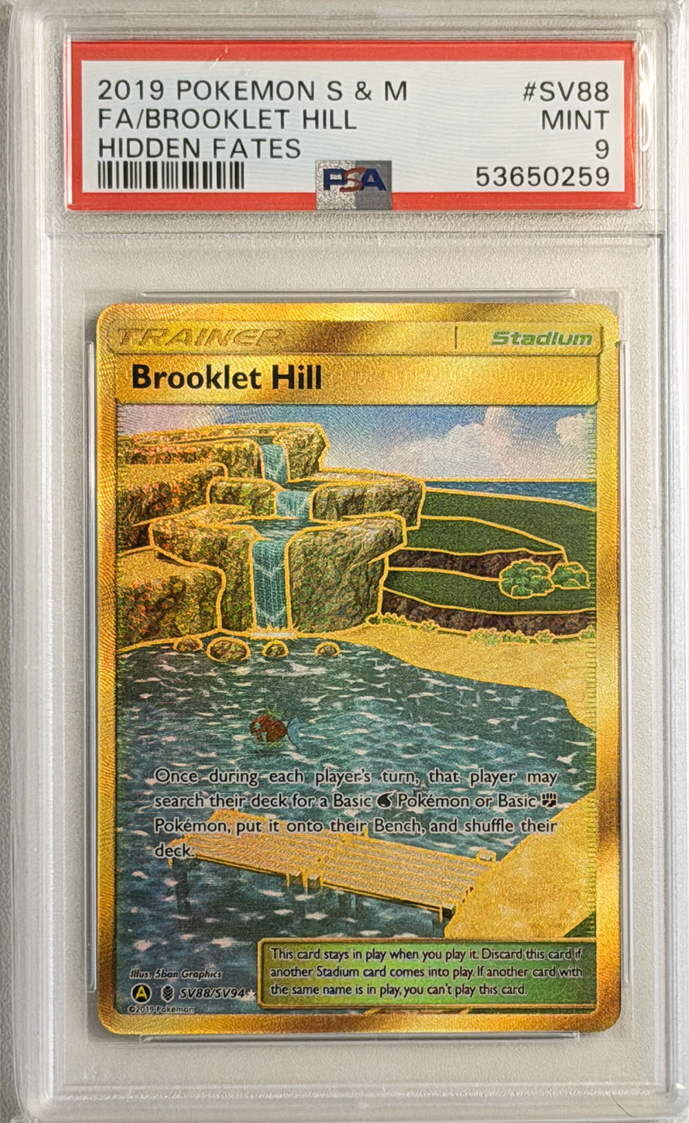 Brooklet Hill #SV88 Hidden Fates PSA 9 - forside