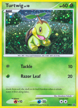 Turtwig Lv.10 - DP Black Star Promos (Promo) [DPPR-01]