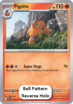 Pignite - Ascended Heroes: Additionals (Uncommon) [xASC-030]