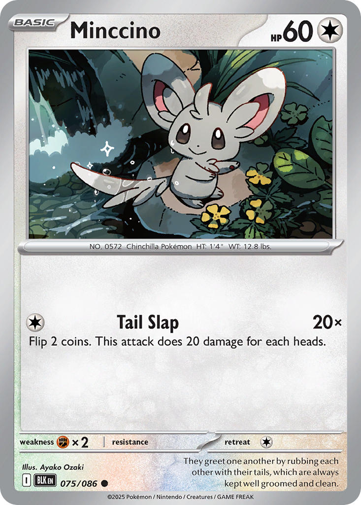 Minccino⁣ - Black Bolt⁣ (Common)⁣ [075] English / Near Mint / Reverse-Holo Normal