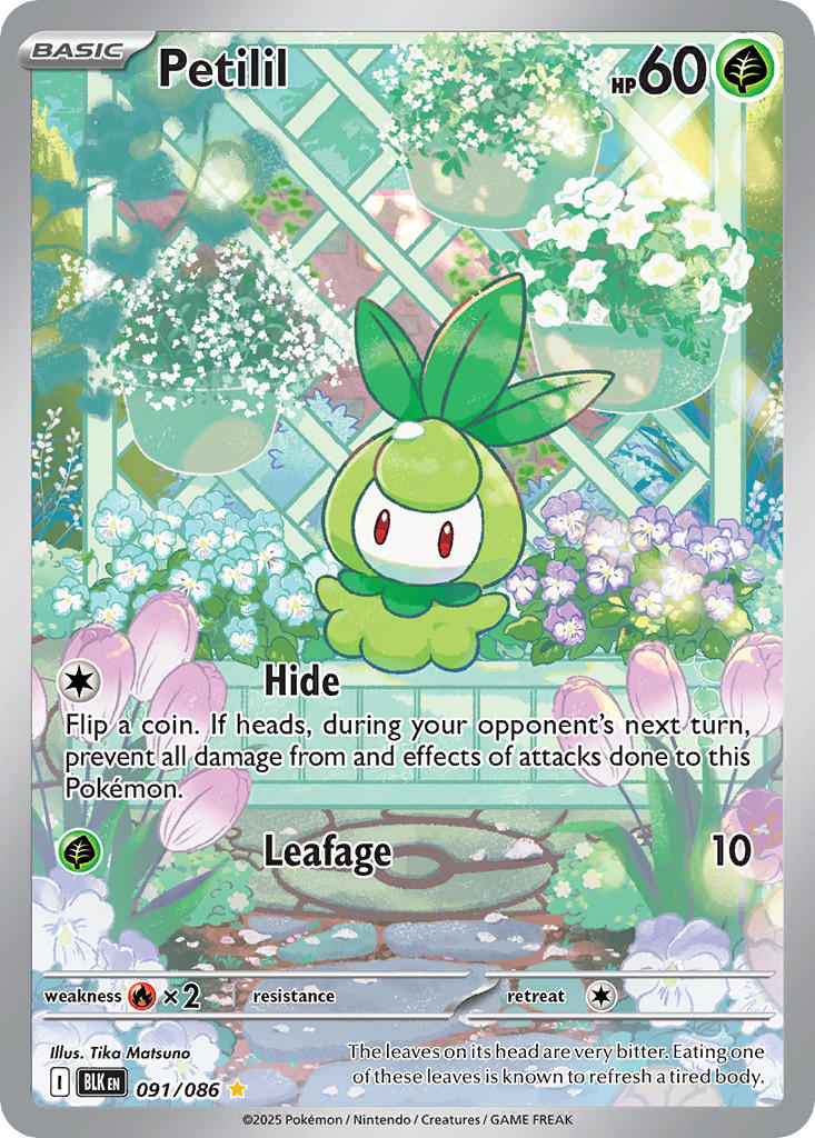 Petilil⁣ - Black Bolt⁣ (Illustration Rare)⁣ [091] English / Near Mint / Normal