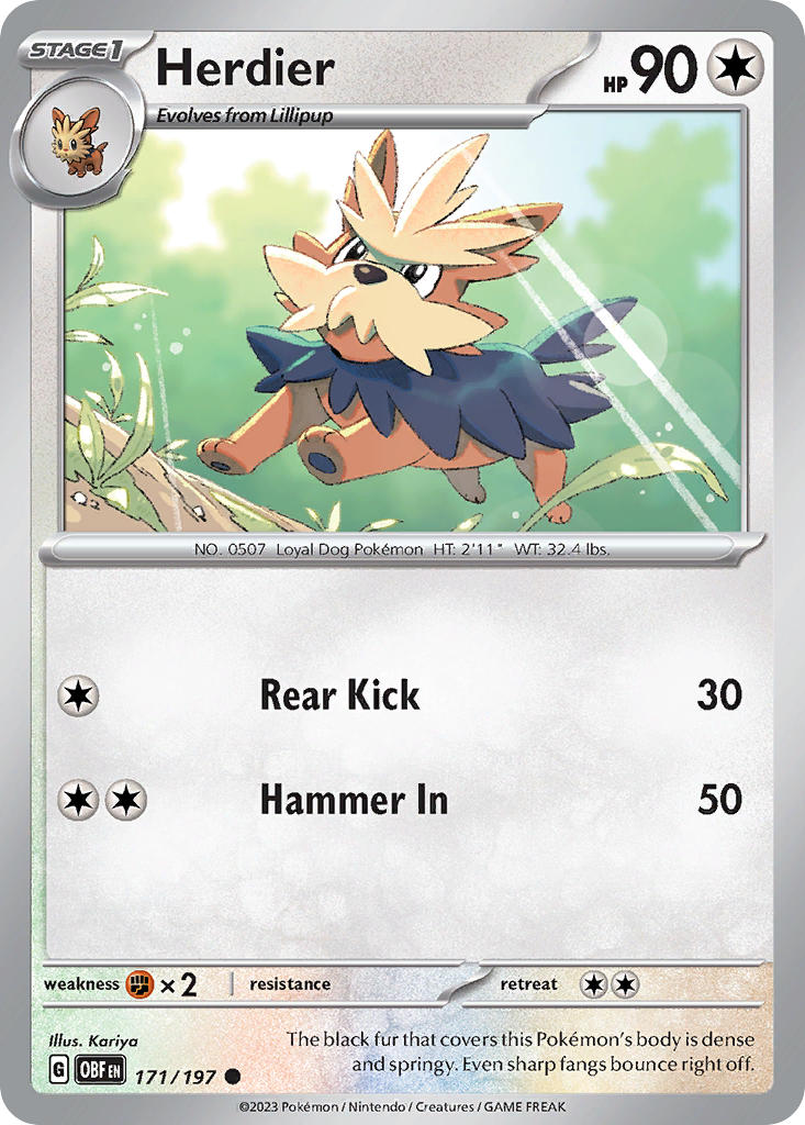 Herdier⁣ - Obsidian Flames⁣ (Common)⁣ [171] English / Near Mint / Reverse-Holo Normal