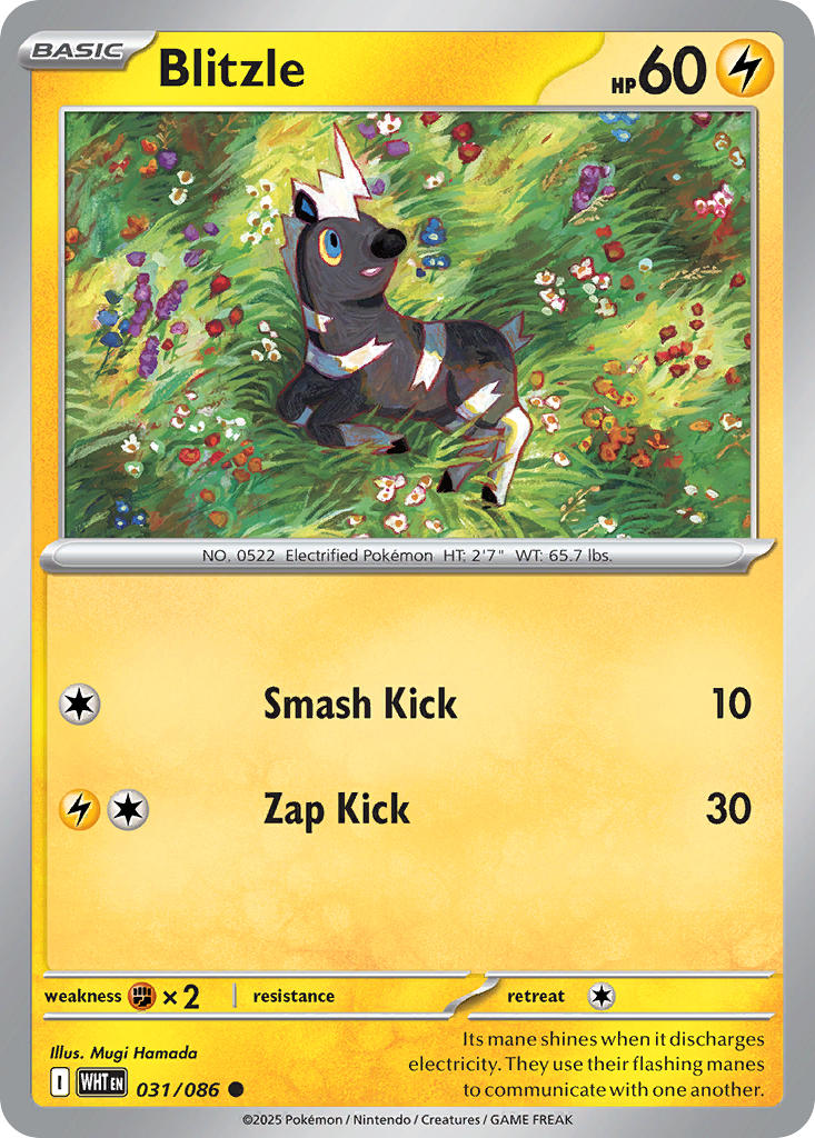Blitzle⁣ - White Flare⁣ (Common)⁣ [031] English / Near Mint / Reverse-Holo Normal